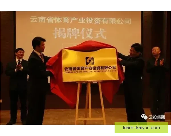 开云体育下载最新版本体验指南及功能全解析