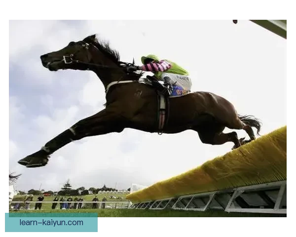 开云体育全新首页上线,聚焦热门赛事资讯与精彩体育互动体验 开云体育全新首页上线,聚焦热门赛事资讯与精彩体育互动体验