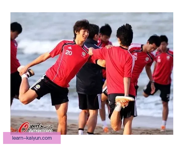 开云体育新人指南全面解析助你快速上手畅享精彩赛事体验