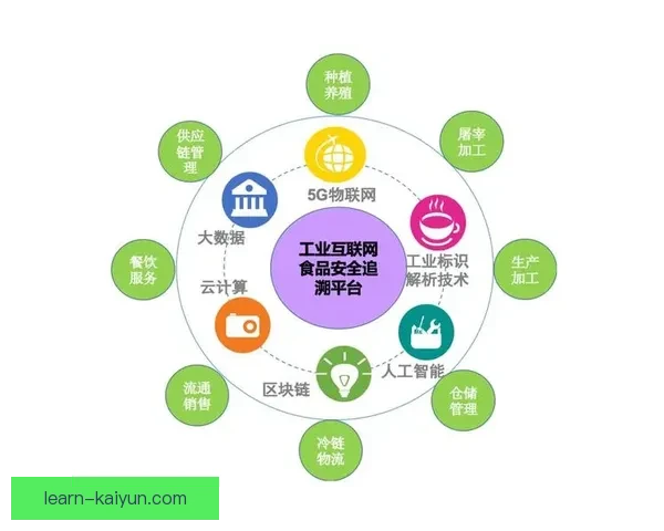 全方位掌握足球资讯与赛事互动的专业平台入口指南 全方位掌握足球资讯与赛事互动的专业平台入口指南